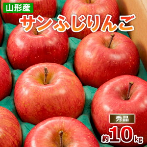 yӂ邳Ɣ[ŁzR`̃Tӂ 10kg Gi(20`50) fz19-140 S ь t[c ʕ  