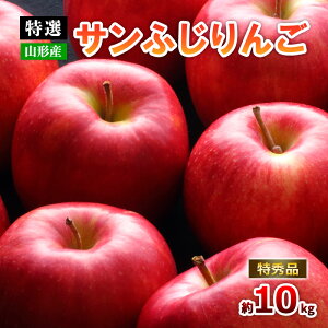 yӂ邳Ɣ[ŁzyIzR`̃Tӂ 10kg Gi (20`50) fz19-141 S ь t[c ʕ  