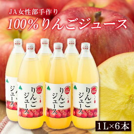 【ふるさと納税】JA女性部手作り「100％りんごジュース」1L×6本 FY25-906