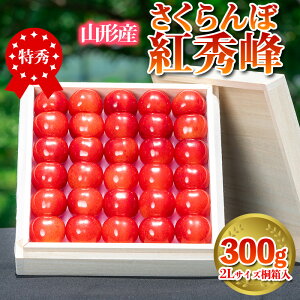 yӂ邳Ɣ[Łz ugGv 300g Gi 2LTCY ˔ R`Y yߘa8NYs\z FS24-036  ʕ t[c R` R` R`s  2026NY
