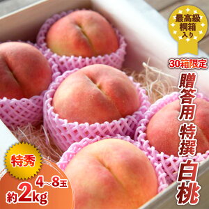 yӂ邳Ɣ[Łzō˔ p   2kg (30)yߘa8NYs\z FS24-045 ʕ t[c R` R` R`s  s\ 2026NY