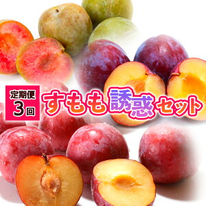 yӂ邳Ɣ[Łzy3zUfZbg yߘa8NYs\zFS24-508  ʕ t[c R` R` R`s  2026NY