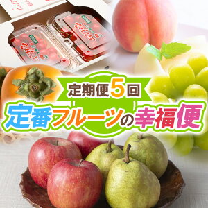 yӂ邳Ɣ[Łzy5zԃt[c̍Kցyߘa8NYs\zFS25-624  ʕ t[c R` R` R`s  2026NY