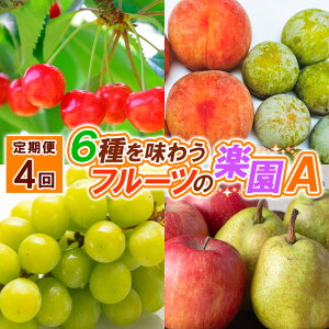 yӂ邳Ɣ[Łzy4z6𖡂키t[c̊yAyߘa8NYs\zFS25-623  ʕ t[c R` R` R`s  2026NY