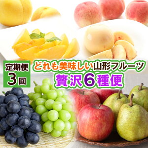 yӂ邳Ɣ[Łzy3zǂR`t[cґ6ցyߘa8NYs\zFS24-517  ʕ t[c R` R` R`s  2026NY