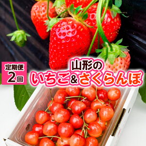 yӂ邳Ɣ[Łzy2zR` &ځyߘa8NYs\zFS24-521 ʕ t[c R` R` R`s  s\ 2026NY