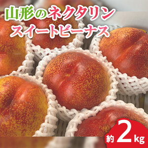 yӂ邳Ɣ[ŁzR`̃lN^(XC[gr[iX)2kg yߘa8NYs\zFS24-568  ʕ t[c R` R` R`s  2026NY