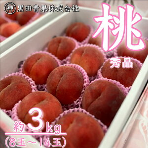 yӂ邳Ɣ[ŁzR`Y  G 3kg(8ʁ`14)yߘa8NYs\zFU23-315 ʕ t[c R` R` R`s  s\ 2026NY