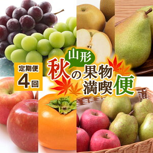 yӂ邳Ɣ[Łzy4zR`H̉ʕ iցyߘa8NYs\zFS24-614 ʕ t[c R` R` R`s  s\ 2026NY