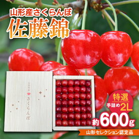 【ふるさと納税】さくらんぼ 佐藤錦 特選 手詰め 2L 約600g 山形セレクション認定品 【令和8年産先行予約】FS25-718 くだもの 果物 フルーツ 山形 山形県 山形市 お取り寄せ 2026年産