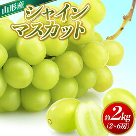 【ふるさと納税】山形市産 シャインマスカット 秀 約2kg (2〜6房)発送時期を選べる 【令和8年産先行予約】FS24-658 くだもの 果物 フルーツ おいしい 人気 ぶどう 葡萄 マスカット 山形 山形県 山形市 お取り寄せ 2026年産 期間限定 限定