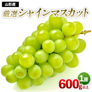 yӂ邳Ɣ[ŁzIVC}XJbg Gi 600gȏ 1[yߘa7NYs\zFS24-664 t[c  ʕ  s\