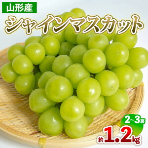 yӂ邳Ɣ[ŁzR`Y VC}XJbg 1.2kg(2`3[) yߘa7NYs\zFS24-708