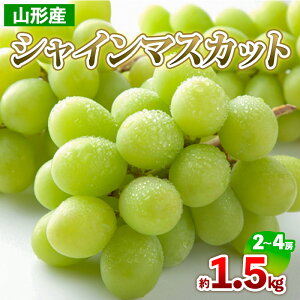 yӂ邳Ɣ[ŁzR`Y VC}XJbg 1.5kg(2`4[) yߘa7NYs\zFS24-709