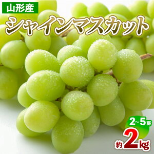 yӂ邳Ɣ[ŁzR`Y VC}XJbg 2kg(2`5[) yߘa7NYs\zFS24-710