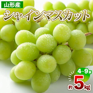 yӂ邳Ɣ[ŁzR`Y VC}XJbg 5kg(4`9[) yߘa7NYs\zFS24-711