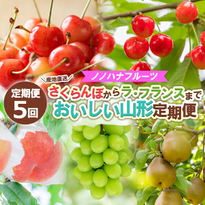 yӂ邳Ɣ[Łzy5zmmnit[cڂ烉EtX܂ yYnz R` yߘa8NYs\zFS24-717  ʕ t[c R` R` R`