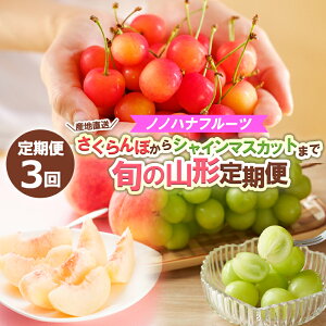 yӂ邳Ɣ[Łzy3zmmnit[c ڂVC}XJbg܂ŁyYnz {̎R` yߘa8NYs\zFS24-718  ʕ t[c R` R` R