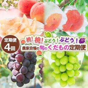 yӂ邳Ɣ[Łzy4zIIԂǂIԂǂI_Ǝ̏{̂̒ yߘa8NYs\zFS24-720  ʕ t[c R` R` R`s  2026NY