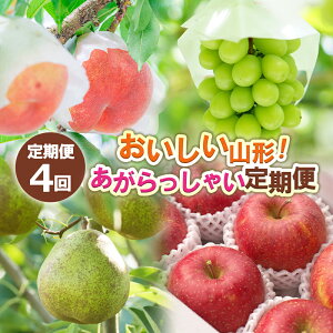 yӂ邳Ɣ[Łzy4zR`I Ⴂ yߘa8NYs\zFS24-721  ʕ t[c R` R` R`s  2026NY