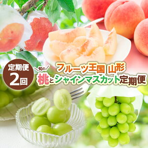 yӂ邳Ɣ[Łzy2zt[cR` {̓ƃVC}XJbg yߘa8NYs\zFS24-723  ʕ t[c R` R` R`s  2026NY