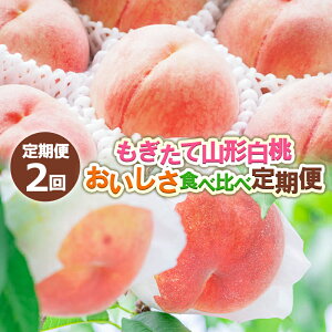 yӂ邳Ɣ[Łzy2zĎR` Hהג yߘa8NYs\zFS24-724  ʕ t[c R` R` R`s  2026NY