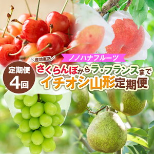 yӂ邳Ɣ[Łzy4zmmnit[c ڂ烉EtX܂ yYnzC`IVR` yߘa8NYs\zFS25-592  ʕ t[c R` R` R`