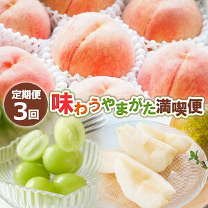 yӂ邳Ɣ[Łzy3z키܂ i yߘa8NYs\zFS24-726  ʕ t[c R` R` R`s  2026NY