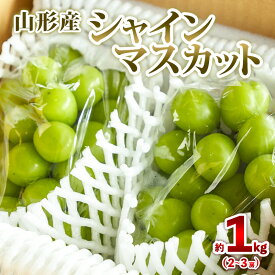 【ふるさと納税】山形産 シャインマスカット 約1kg (2〜3房) 秀品 【令和8年産先行予約】FS25-606 くだもの 果物 フルーツ 山形 山形県 山形市 お取り寄せ 2026年産