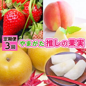 yӂ邳Ɣ[Łzy3z܂ ̉ʎyߘa8NYs\zFS24-741 ʕ t[c R` R` R`s  s\ 2026NY