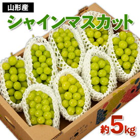 【ふるさと納税】山形産 シャインマスカット 秀 約5kg 【令和8年産先行予約】FS24-748 くだもの 果物 フルーツ 山形 山形県 山形市 お取り寄せ 2026年産