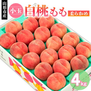 yӂ邳Ɣ[ŁzR`sY    _炩 4kg(18`22) yߘa8NYs\zFS24-751  ʕ t[c R` R` R`s  2026NY