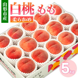 yӂ邳Ɣ[ŁzR`sY   5kg _炩(10`16) yߘa8NYs\zFS24-752  ʕ t[c R` R` R`s  2026NY