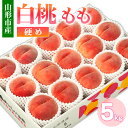 山形市産 白桃 もも 5kg 硬め(10〜16玉) 【令和...