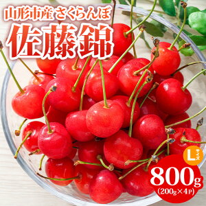 yӂ邳Ɣ[ŁzR`sY ځyсzLTCY 800g(200g×4P) yߘa8NYs\zFS24-754  ʕ t[c R` R` R`s  2026NY