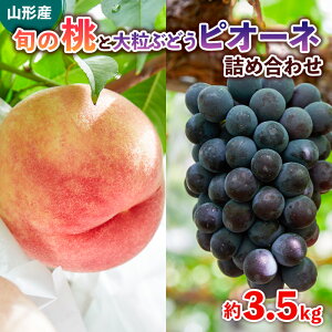 yӂ邳Ɣ[Łz{̓Ƒ嗱ԂǂsI[l lߍ킹 3.5kgyߘa8NYs\zFS24-764 ʕ t[c R` R` R`s  s\ 2026NY