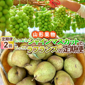 yӂ邳Ɣ[Łzy2zR`ʕ ՂVC}XJbgƂǂ胉tX̒ yߘa8NYs\zFS24-767  ʕ t[c R` R` R`s  20