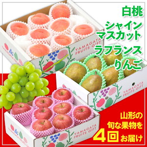 yӂ邳Ɣ[Łzy4zt[cR`EVC}XJbgEtXE yߘa8NYs\zFS24-773  ʕ t[c R` R` R`s  