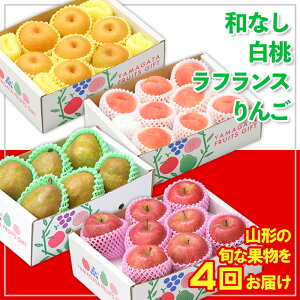 yӂ邳Ɣ[Łzy4zt[cR`aȂEEtXE yߘa8NYs\zFS24-774  ʕ t[c R` R` R`s  2026NY