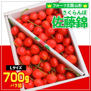 yӂ邳Ɣ[Łzt[cR`  LTCY 700g oϔl yߘa8NYs\zFS24-778  ʕ t[c R` R` R`s  2026NY