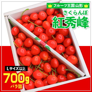 yӂ邳Ɣ[Łzt[cR` gG Lȏ 700g ol yߘa8NYs\zFS24-779  ʕ t[c R` R` R`s  2026NY