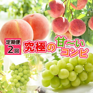 yӂ邳Ɣ[Łzy2zɂ Á`Rryߘa8NYs\zFS24-795 ʕ t[c R` R` R`s  s\ 2026NY