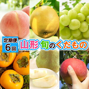 yӂ邳Ɣ[Łzy6zR` {̂ yߘa8NYs\zFS24-796  ʕ t[c R` R` R`s  2026NY