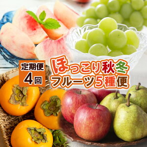 yӂ邳Ɣ[Łzy4zقH~t[c5ցyߘa8NYs\zFS24-810 ʕ t[c R` R` R`s  s\ 2026NY