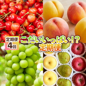 yӂ邳Ɣ[Łzy4zςIH  yߘa8NYs\zFS25-652  ʕ t[c R` R` R`s  2026NY