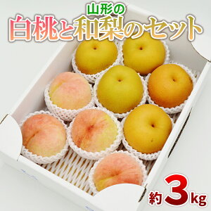 yӂ邳Ɣ[ŁzƘa̋l Gi 3kg(6`12) yߘa7NYs\zFS24-817