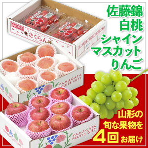 yӂ邳Ɣ[Łzy4zt[cR`сEEVC}XJbgE yߘa8NYs\zFS25-674  ʕ t[c R` R` R`s  2026