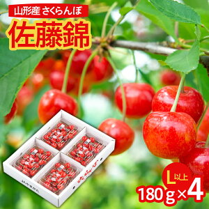 yӂ邳Ɣ[ŁzR`sY   Lȏ 720g(180g×4pbN) ol yߘa8NYs\zFS25-582  ʕ t[c R` R` R`s  2026NY