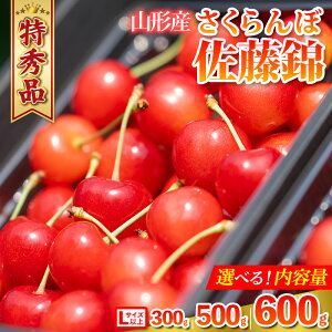 yӂ邳Ɣ[Łz R`Y ځuсv300g 500g 600g Gi LTCYȏ yߘa8NYs\zFS24-805