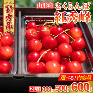 yӂ邳Ɣ[Łz ugGv 300g 500g 600g Gi 2LTCYȏ R`Yyߘa8NYs\z FS24-038  ʕ t[c R` R` R`s 2026NY